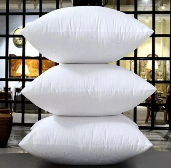 3 Filled Cushions